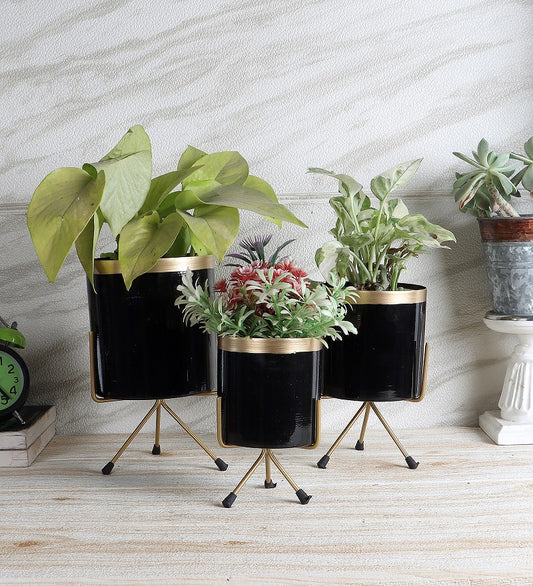 Black & Gold Pipe Planter With Stand Set of 3